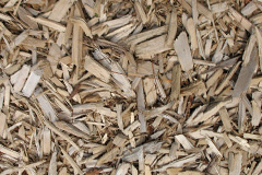 biomass boilers Kittle