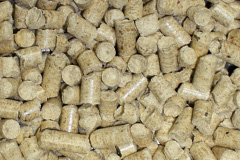 Kittle biomass boiler costs
