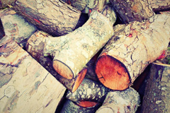 Kittle wood burning boiler costs